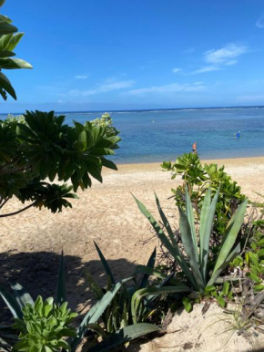 Bungalow Paille en queue sur la plage de La Saline